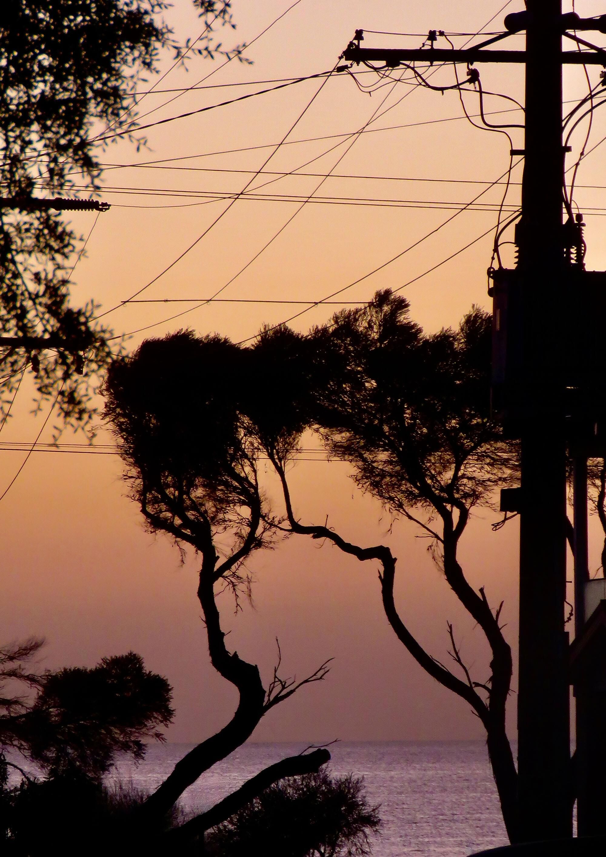 morning light