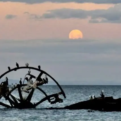 Moonrise over the Ozone