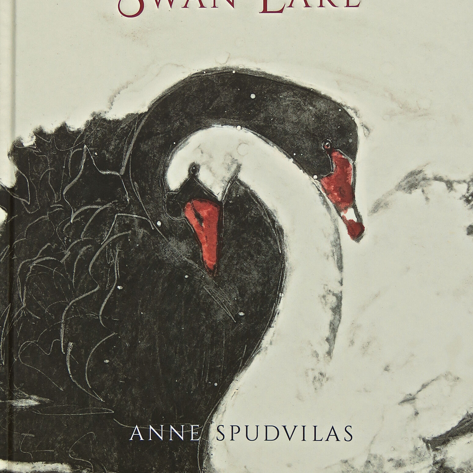 Illustrated retelling of Swan Lake, pub. Allen&Unwin 2017