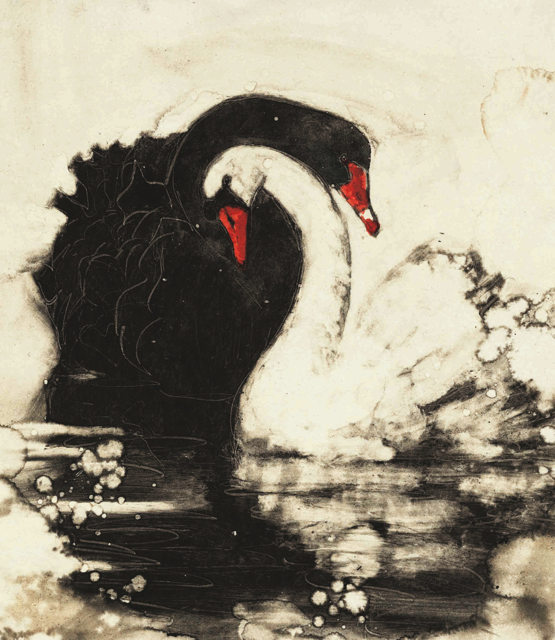 cover-art-of-black-and-white-swan-cover-of-swan-lake