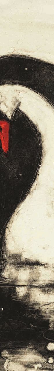 Cover Art Of Black And White Swan Cover Of Swan Lake