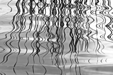black and white photo of river reflections by Anne Spudvilas